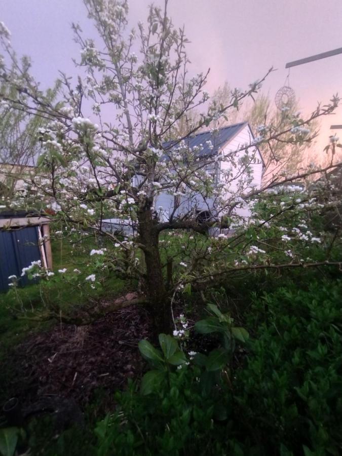 Tuinhuisje In Het Groen Almere Bagian luar foto
