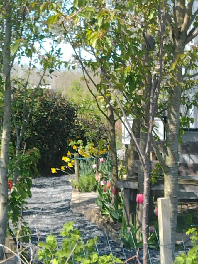 Tuinhuisje In Het Groen Almere Bagian luar foto
