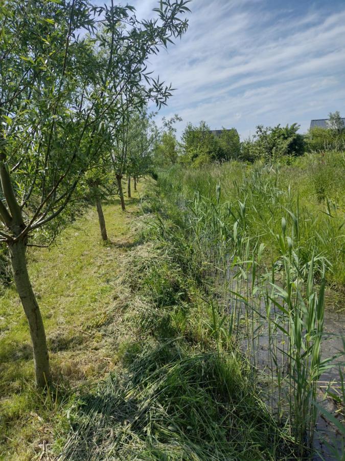 Tuinhuisje In Het Groen Almere Bagian luar foto